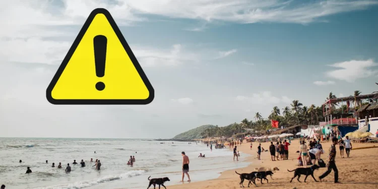 Indian international students drowning cases Canada